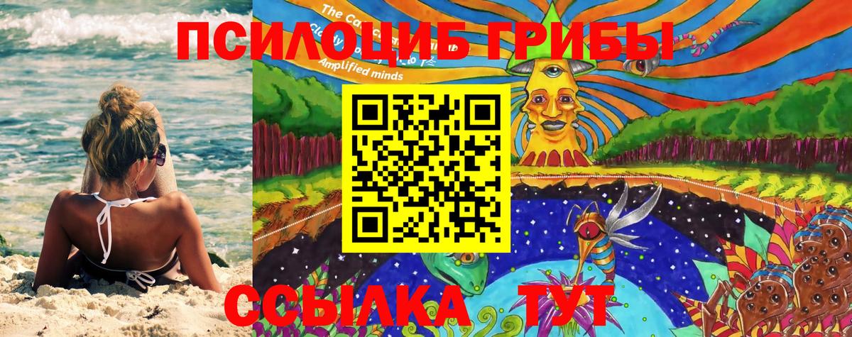 Псилоцибиновые грибы GOLDEN TEACHER Красноярск