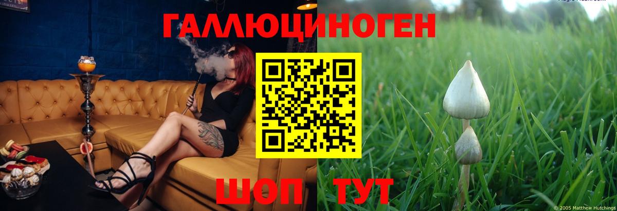 Красноярск  купить наркотик  Вход с VPN  Галлюциногенные грибы мицелий 